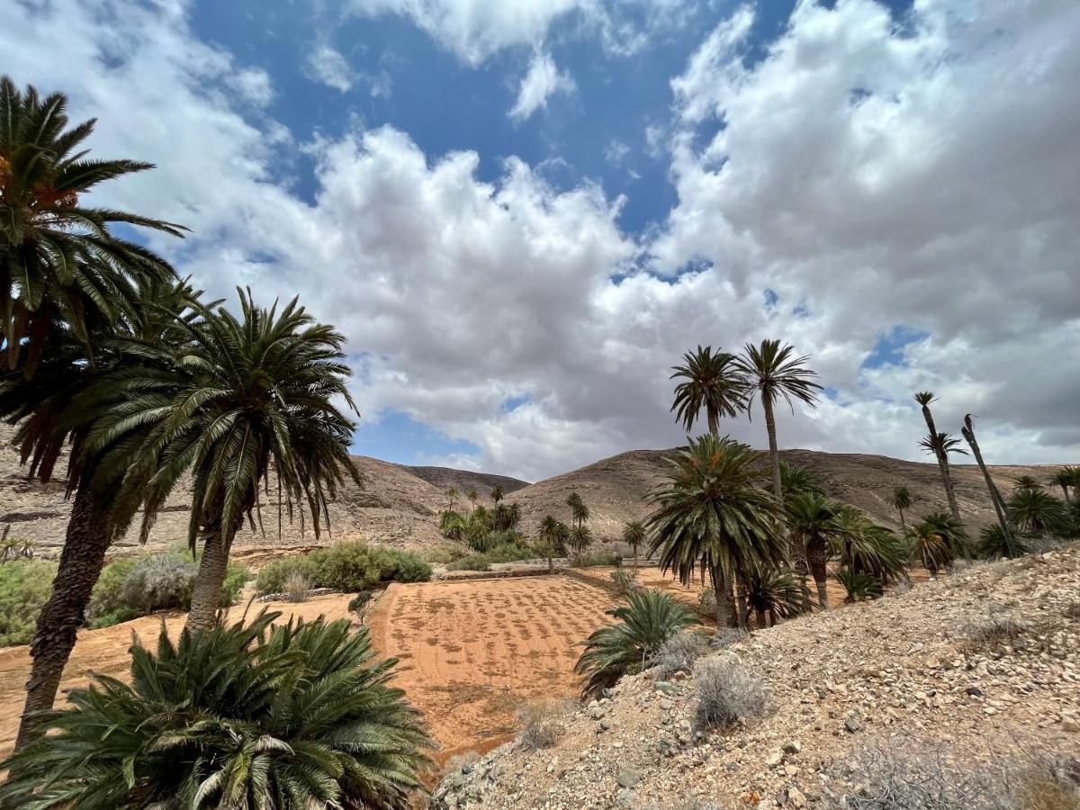 Las Torres Del Castillo, 108Cactus 科斯塔德安提瓜 外观 照片